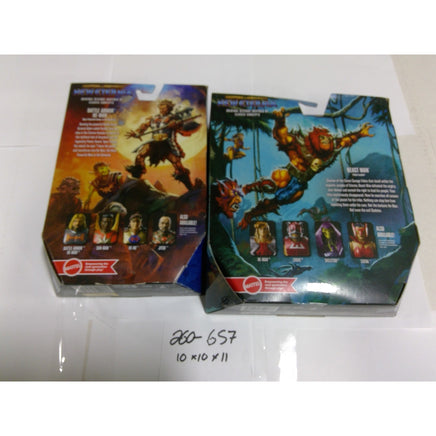 Masters of the Universe Eternia He-Man Beast Man 7in Figure Lot New Damaged Box
