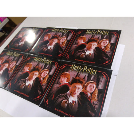 DateWorks Harry Potter 2025 Wall Calendar 16-Month Multi-Color New Lot of 6
