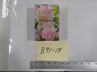 Pink Jasmine Eau De Parfum 95ml 3.3oz Floral Jasmine Perfume Spray New Gift