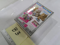 Stoneblade Entertainment You Gotta Be Kitten Me Card Game 2-10 Players 8+ New