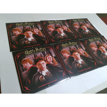 DateWorks Harry Potter 2025 Wall Calendar 16-Month Multi-Color New Lot of 6