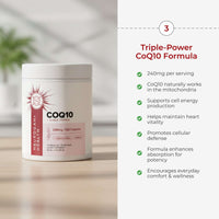 The Cognition Stack