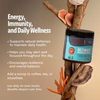 Organic Mushroom Extract Powder Blend