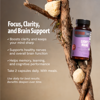 Organic Lion’s Mane Capsules