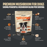 Organic Mushroom Complex for Dogs