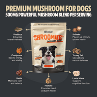 Organic Mushroom Complex for Dogs