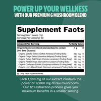 Organic Mushroom Extract Powder Blend