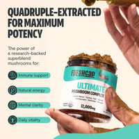 Organic Mushroom Extract Powder Blend