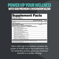 Organic Mushroom Complex Supplement Capsules
