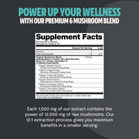 Organic Mushroom Complex Supplement Capsules