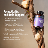 Organic Lion’s Mane Capsules