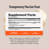 Organic Lion’s Mane Capsules