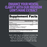 Organic Lion’s Mane Mushroom Powder