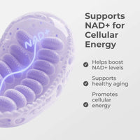 NMN Capsules 500MG