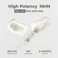 NMN Capsules 500MG