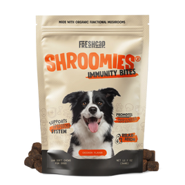 Organic Mushroom Complex for Dogs