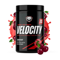 VELOCITY
