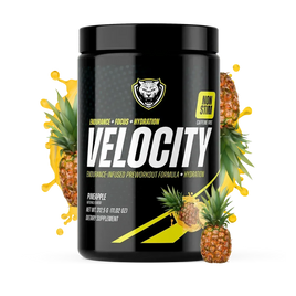VELOCITY